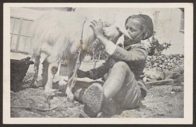  10 cartes postales Ecole Freinet Vence