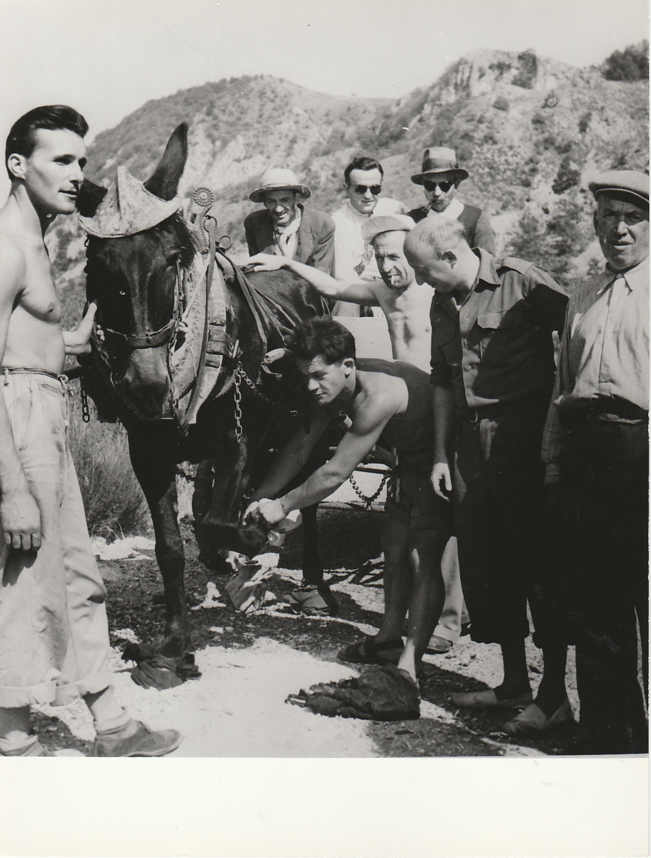  Photo du tournage : on met aux fers du cheval des chiffons pour étouffer le bruit